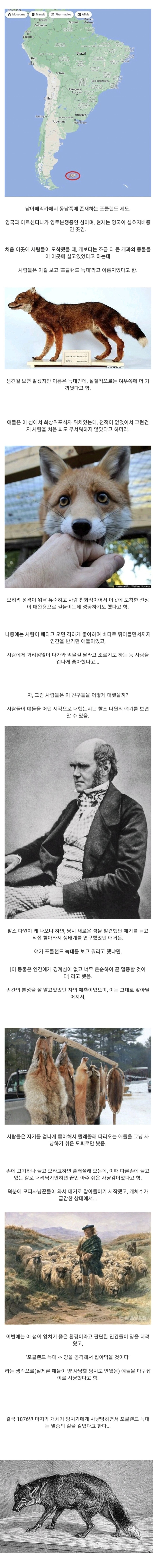 인간을 너무 좋아해서 멸종한 동물