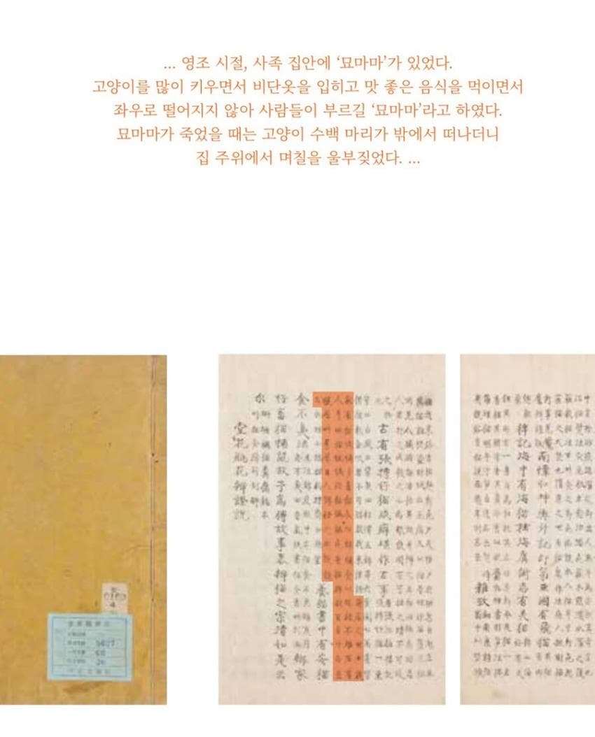 조선시대 캣맘