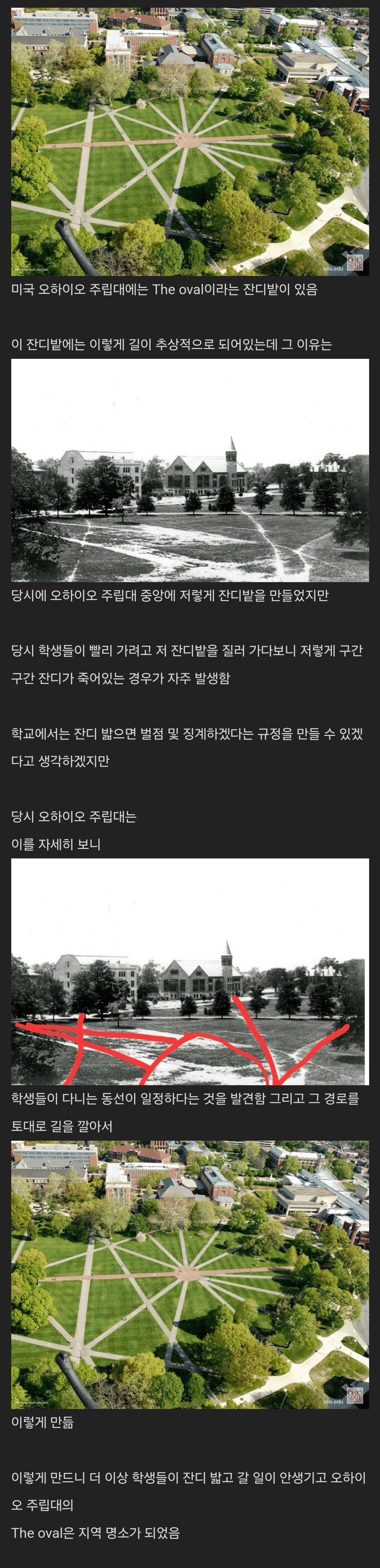 학생들이 잔디밭을 밟자 학교에서 취한 조치